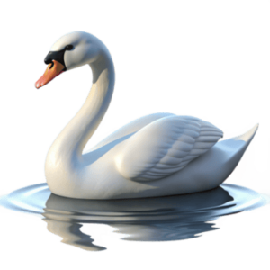 Cigno per L'Estro dell'Artista